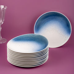 Porcelain Plate | 11.4" Vital Coupe Elevated Plate | 6 Pcs