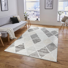 Merry MR445 Grey Black area rug styled in a room