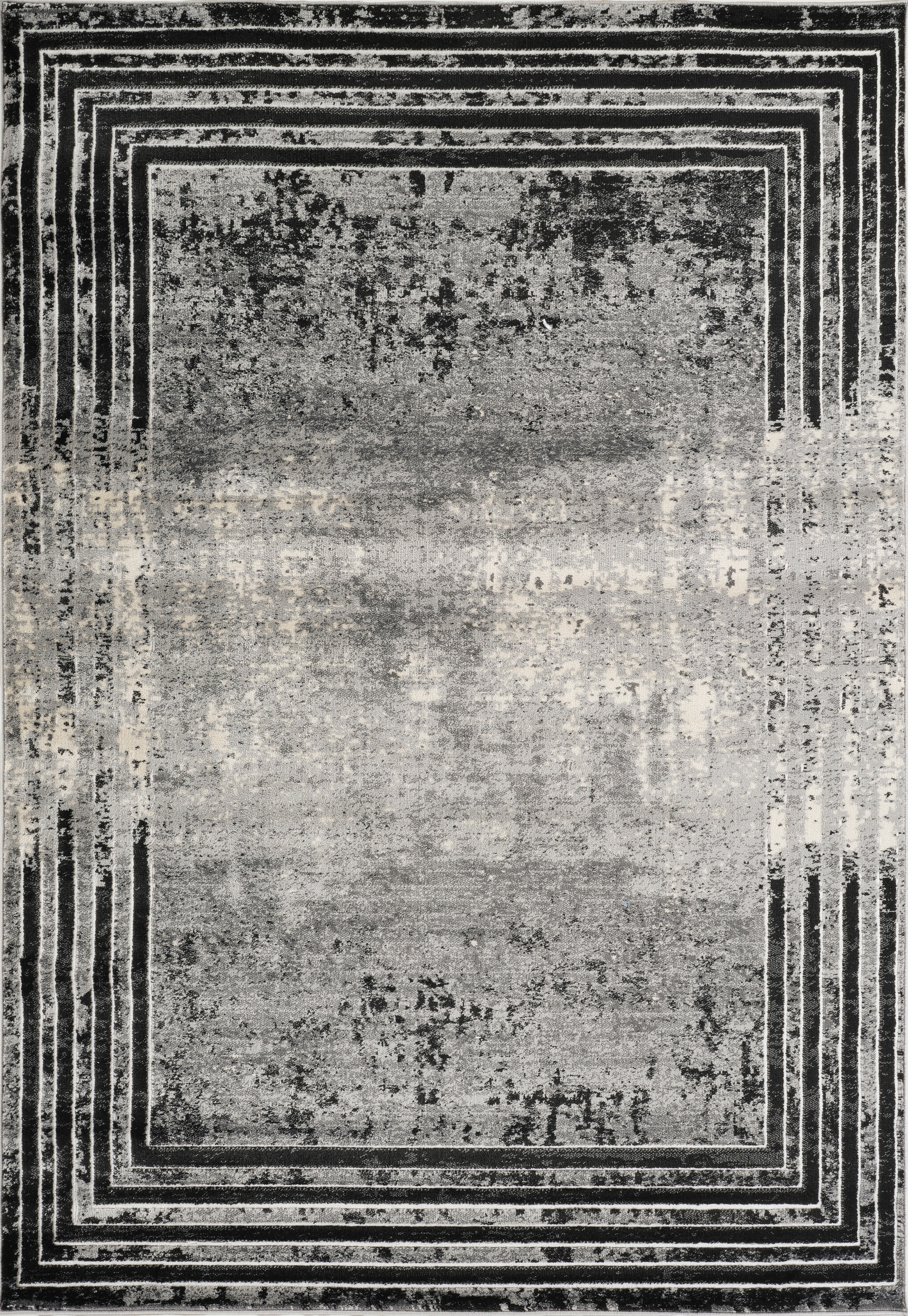 Argon 802 Area Rug Black /Grey