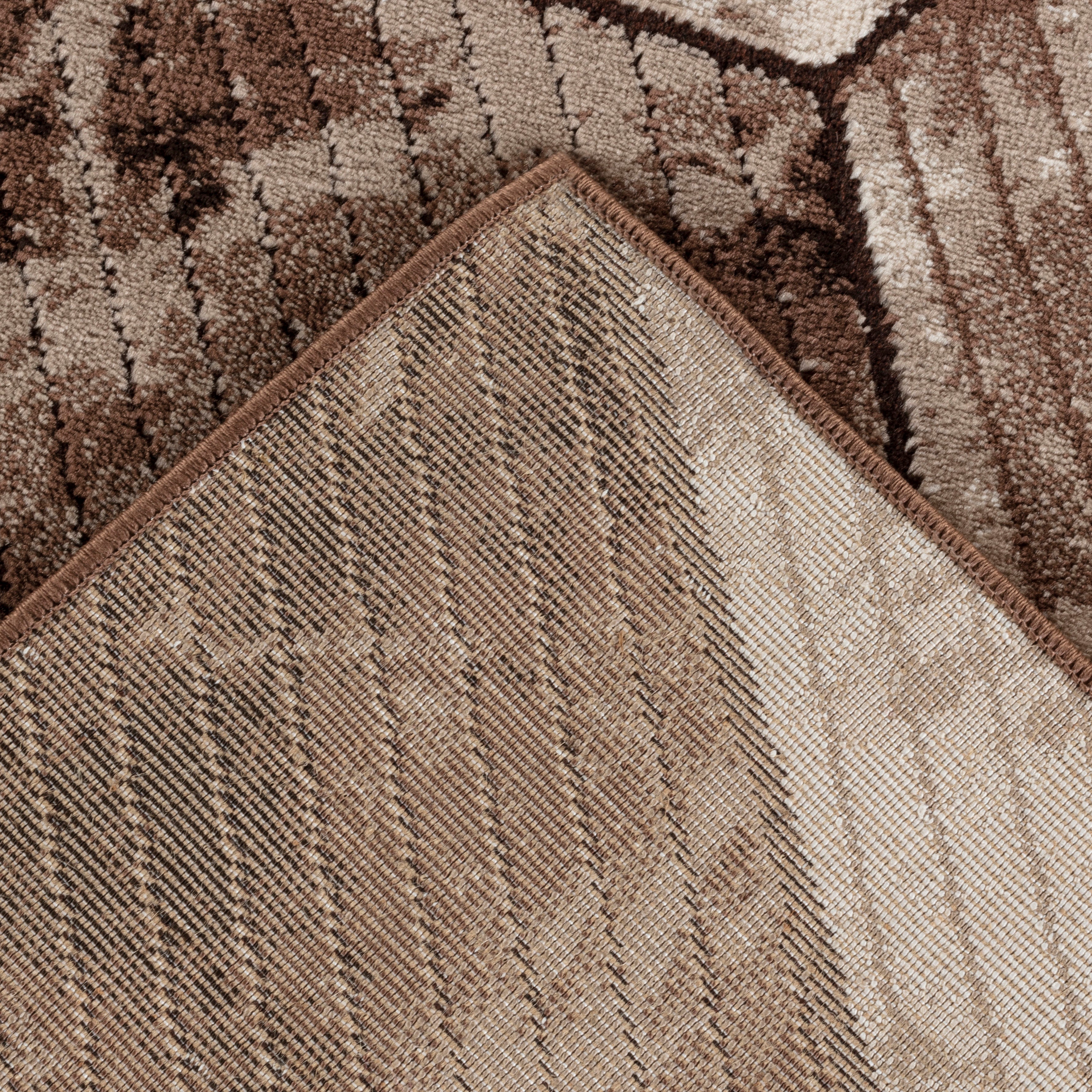 Argon 896 Area Rug D.Beige/Brown