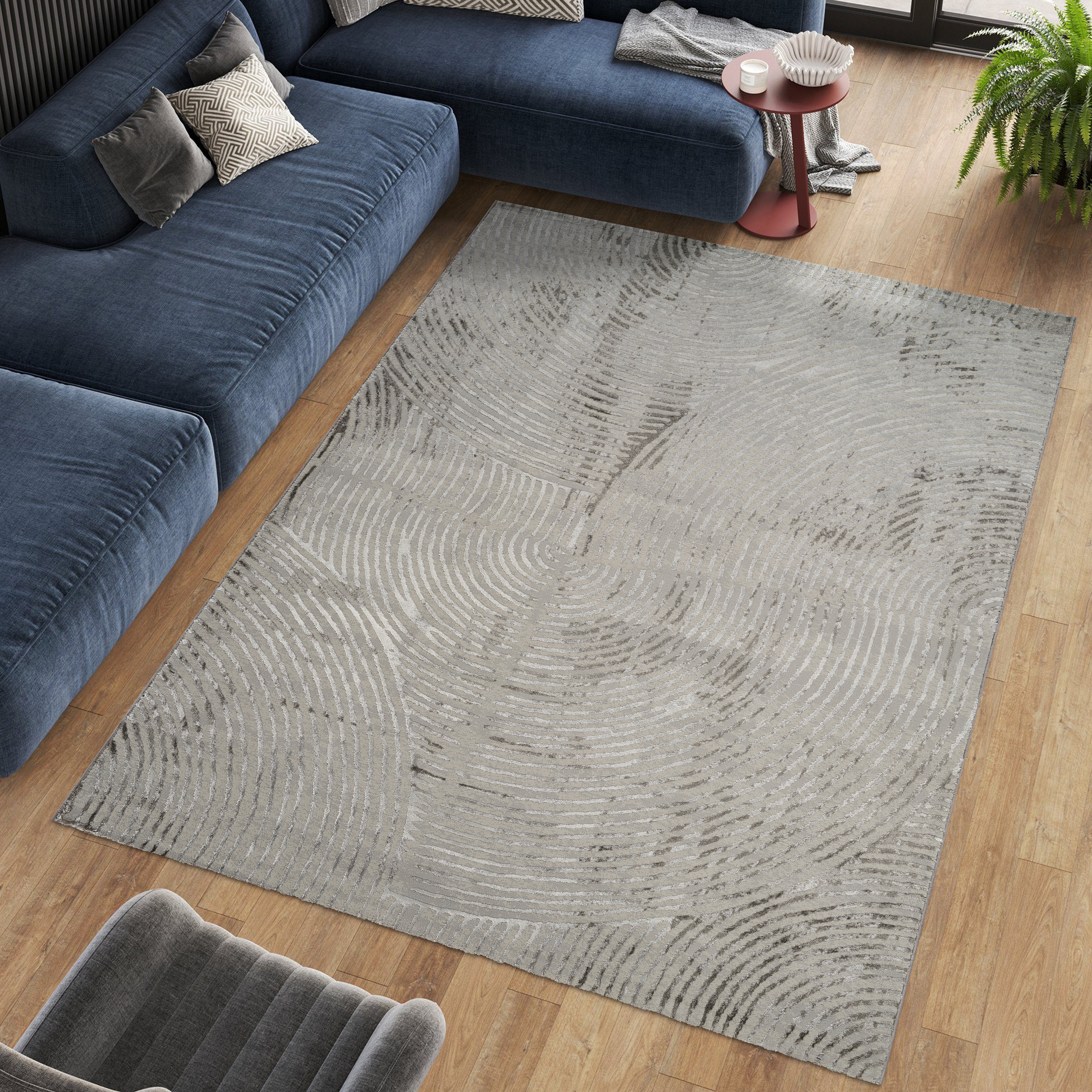 Florence 6181 Area Rug Grey/Vizion