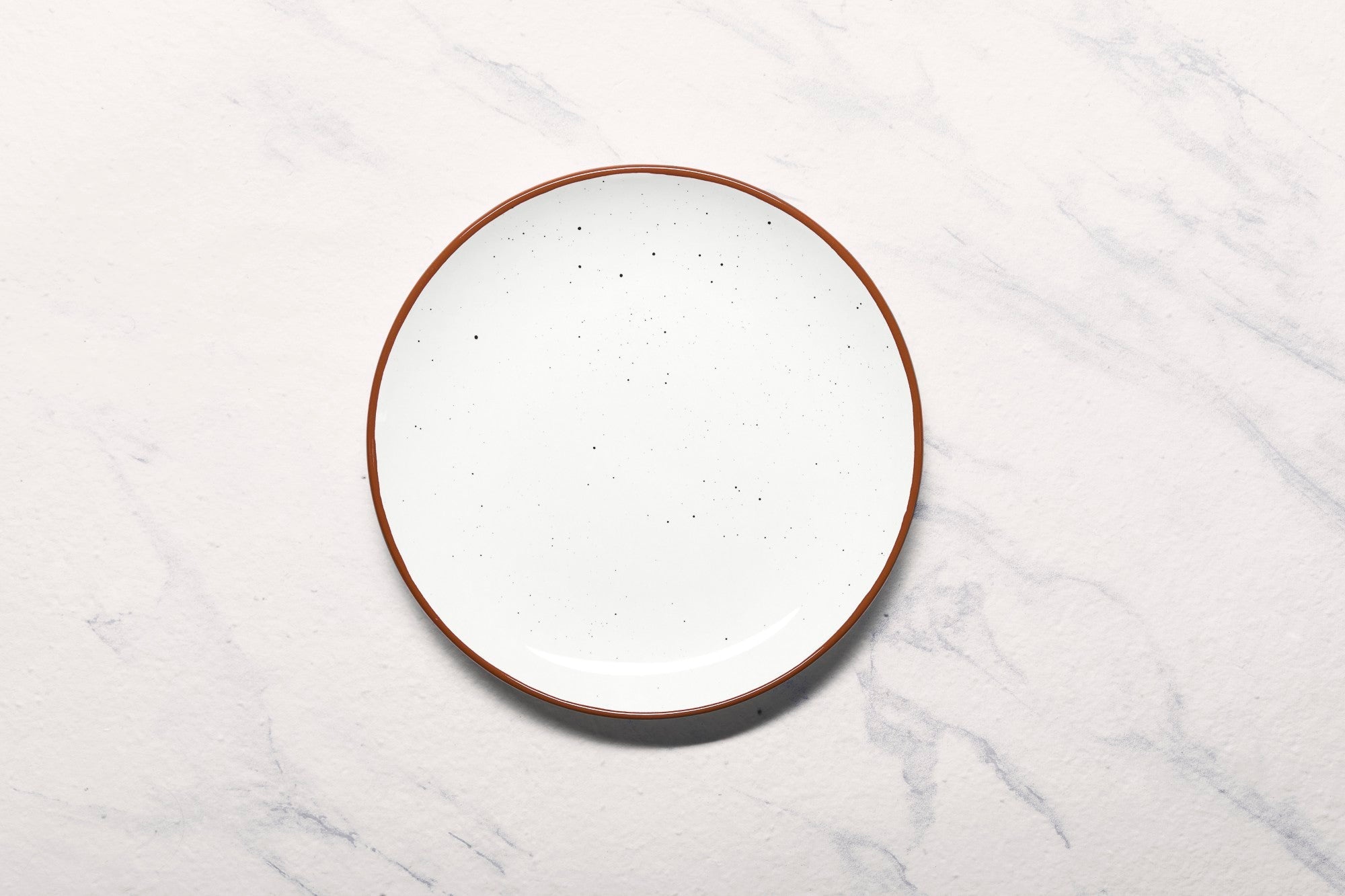 Porcelain Plate | Vital Coupe Round Rimless Plate | Set of 6