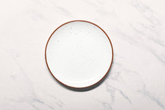 Porcelain Plate | Vital Coupe Round Rimless Plate | Set of 6