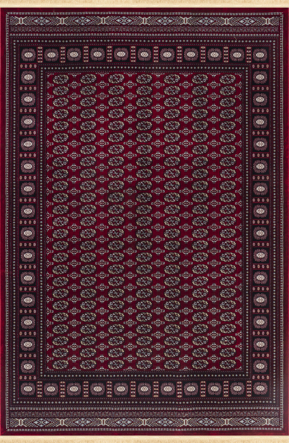 Sultan C669B Red traditional area rug top view with ornate allover pattern and border