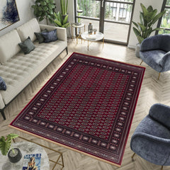 Sultan C669B Red traditional Oriental area rug styled in a room