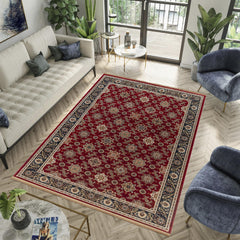Kandahar D529B Area Rug Red