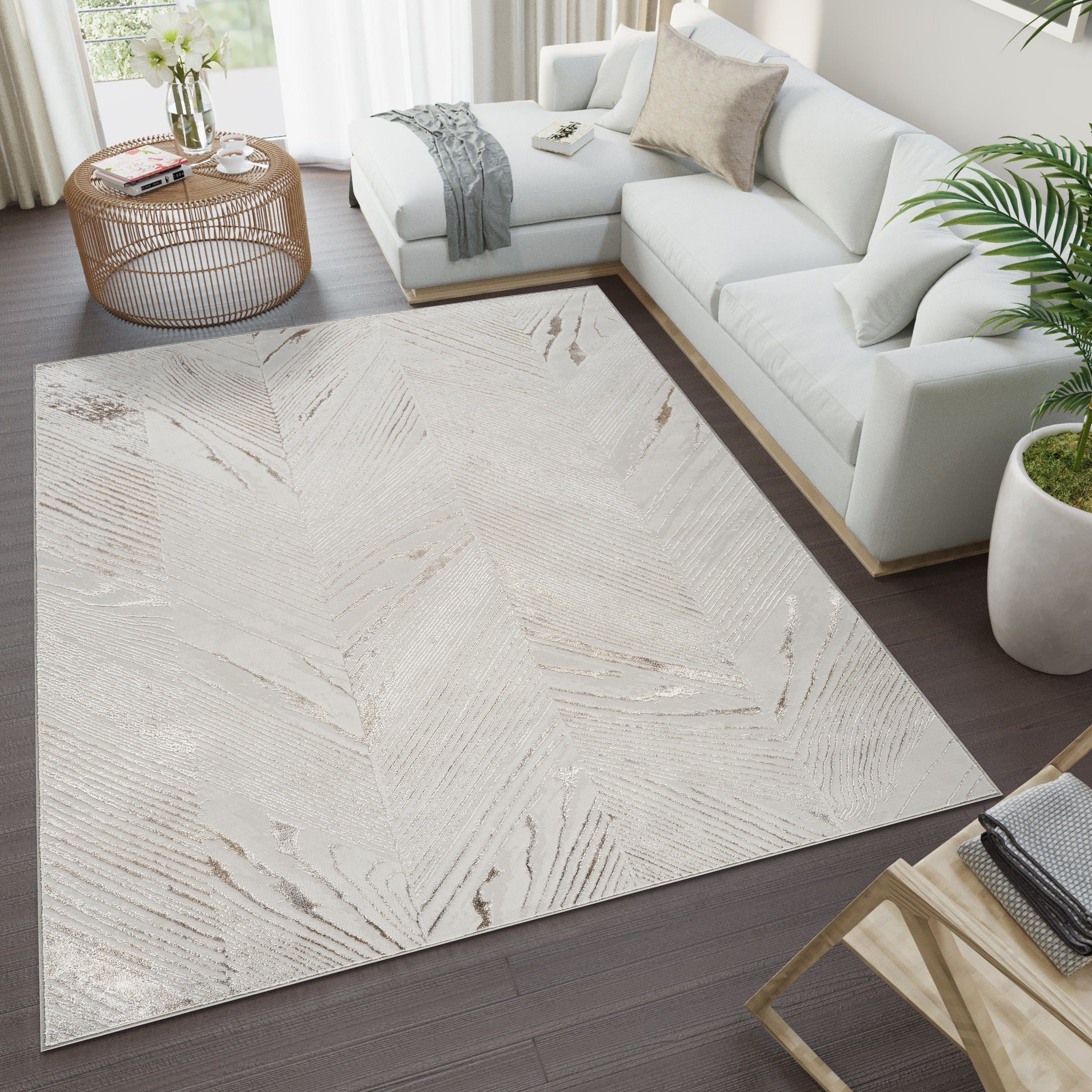 Caesar G1568 Grey Area Rug